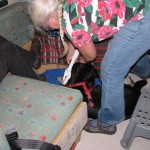 Hundescanner Wo ist der Identitäts-Chip?