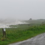 IMG_0578 (816 x 612) Strand