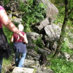 IMG_1447 (816 x 612) Waldweg