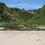 IMG_2723 (816 x 612) Oase