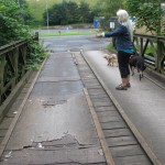 IMG_3031 (816 x 612) Brücke