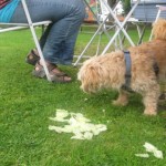 IMG_6382 (512 x 384) lecker Essen