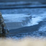 IMG_3240 (816 x 612)