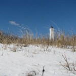 IMG_3273 (816 x 612)