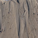 IMG_3484 (807 x 1077)