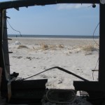 IMG_3529 (816 x 612)