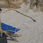 IMG_3555 (816 x 612)