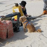 IMG_3559 (816 x 612)