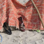 IMG_3561 (816 x 612)