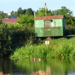 IMG_4587 (807 x 1077)