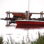 IMG_4773 (1077 x 807)