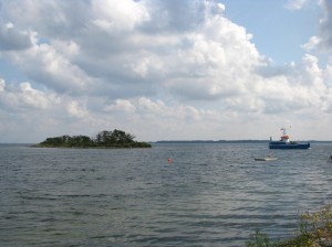 IMG_4959 (1077 x 807)