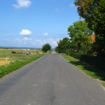 IMG_4995 (1077 x 807)