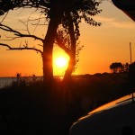 IMG_5073 (1077 x 807)