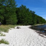 IMG_5146 (1077 x 807)