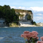 IMG_5201 (1024 x 738)