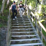 IMG_5328 (807 x 1077)