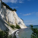 IMG_5429 (1077 x 807)