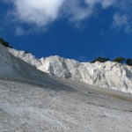 IMG_5451 (1077 x 807)