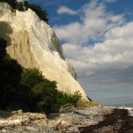 IMG_5484 (807 x 1077)