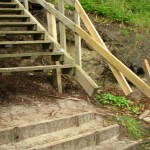 IMG_5549 (1077 x 807)