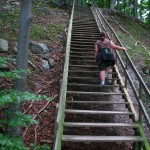 IMG_5561 (807 x 1077)