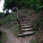 IMG_5568 (807 x 1077)