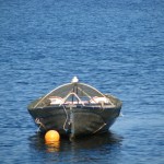 IMG_5616 (1077 x 807)