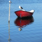 IMG_5625_2 (807 x 1077)