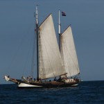 IMG_5707 (1077 x 807)