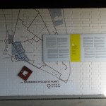 IMG_5875 (1077 x 807)