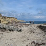 IMG_5882 (1077 x 807)